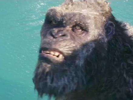 《哥斯拉大战金刚2》全新预告解析,魔斯拉与始祖泰坦巨兽登场