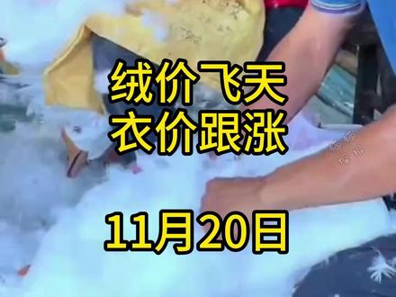 绒价飞天,衣价跟涨 #羽绒服 #热点 #寒潮