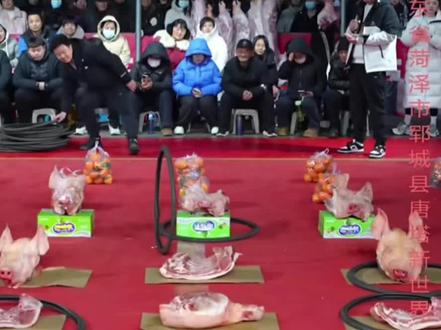 这大哥太牛了,海洋直接没脾气了#海洋1625