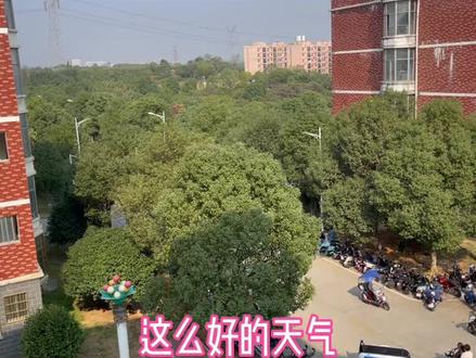 这个冬天你要和谁一起吃烤红薯?