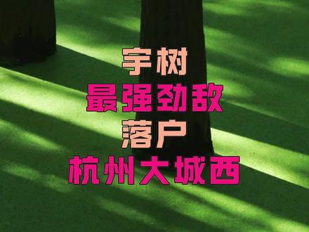 宇树科技最强劲敌,落户杭州大城西! #临安 #杭州城西科创大走廊 #余杭 #魔法原子#宇树科技