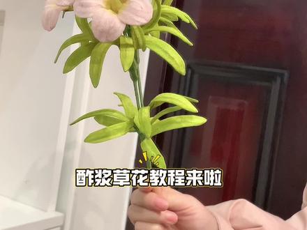酢浆草花花语:象征着幸运与坚韧。#扭扭更健康 #手工 #教程 #手工制作 #教程分享