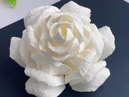 清明祭祖,用纸巾折一朵立体白菊花。#清明节手工 #菊花#清明节