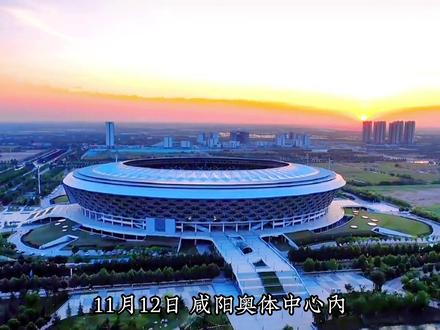 就在咸阳奥体中心体育场,陕西人家门口的国际足球比赛马上就要开始了#美洲双雄决战秦都 #足球的魅力 #比赛现场 #我为陕西举大旗 #一起踢球吧 @陕旅集团 @陕西体育