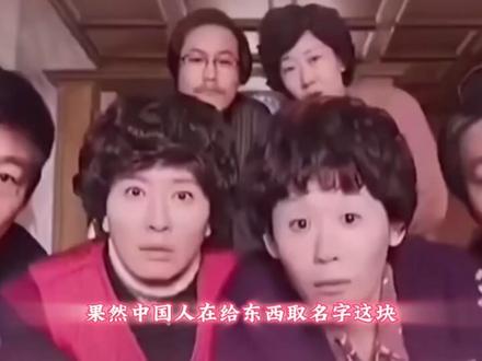 羞答答的二舅,静悄悄的开,我二舅叫刘宝华#宝华月季#刘宝华#农科院