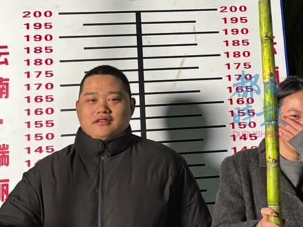 云南也有真人版“偷甘蔗”了!#有一种叫云南的生活