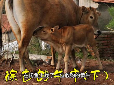普通纪念币回存银行,银行拒收怎么办?