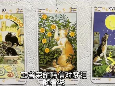 回复 @苦苦的评论 #塔罗 #娱乐 #梦泪 #王者荣耀 #韩信