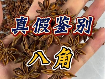 中药材真假鉴别八角,快看看你踩坑了没!