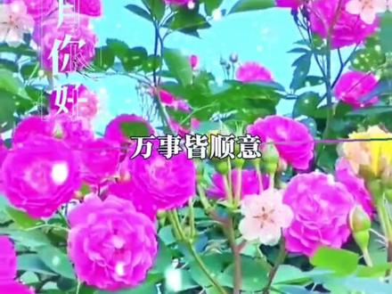 今天是农历二月初一,也是花朝节,早安,风有约花不误,年年岁岁不相负,愿你春来向喜,花来向财,万事皆可期,愿你的生活像风筝一样,越飞越高,日子越来越好,财气运气如期而至,所求皆所愿,万事皆顺意!