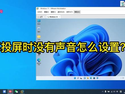 投屏时没有声音怎么设置 #电脑知识 #无线投屏 #手机投屏