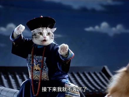 李哈哈小猫会认真看这本书 #猫 #萌宠 #李哈哈一家