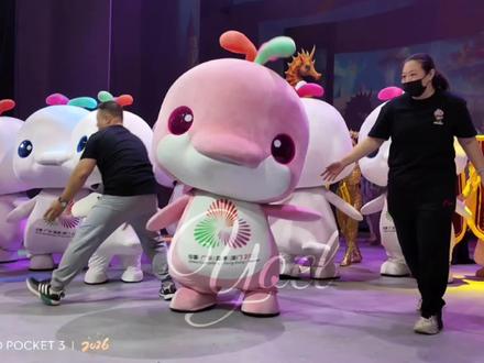 黄金比例鸡宝宝真是360度拍都萌!每次见到妹宝都要感叹真的好肥美的宝宝鸡!好爱好爱❤️@广州杂技团 @大湾鸡饲养员 @大湾鸡乐园园长 @大湾鸡主理人 @文艺小跟班 #大湾鸡 #宝宝鸡 #萌动奇迹 #广州杂技团 #喜洋洋乐融融