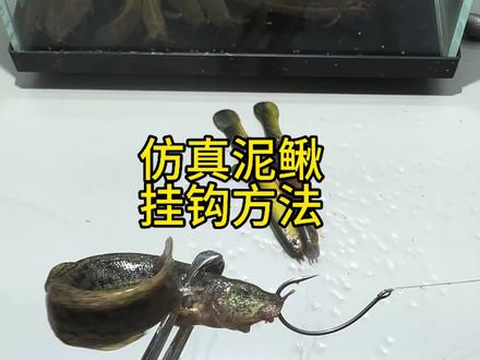 泥鳅挂钩方法#路亚 #翘嘴