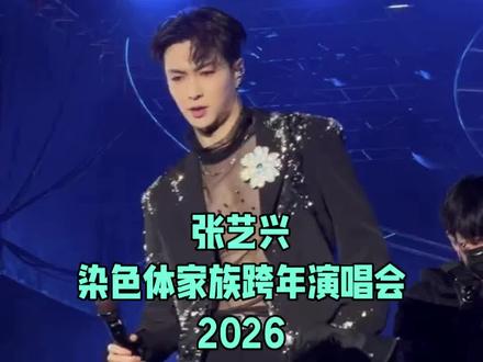 跨年演唱会,张艺兴VS#湖南卫视 #染色体家族跨年演唱会 #张艺兴 #大花轿