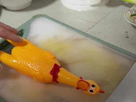 尖叫鸡做了个饿梦#当工具做了个噩梦 #当食物做了个噩梦