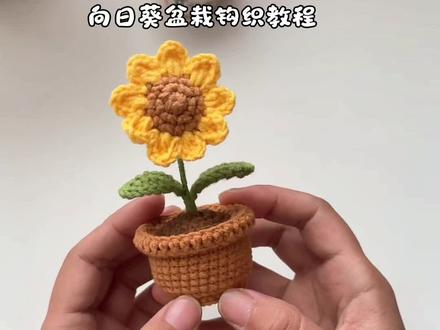 🌻盆栽钩织教程来啦! 不用浇水,不会枯萎,永远向阳而生的🌻盆栽,线材选用四股牛奶棉,2.0毫米钩针,向日葵🎍可以放在书桌上做装饰也可以放在车上做车载摆件,喜欢的姐妹一起钩起来吧!#钩织教程 #非遗手工 #毛线钩织 #手工钩织 #教程