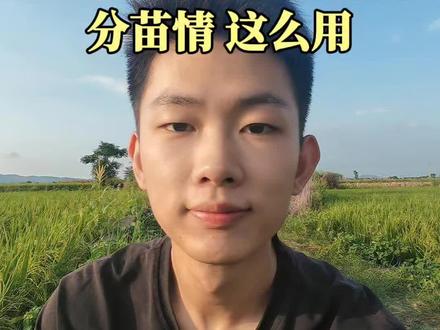 生根剂别乱冲!弱苗壮苗用法完全不同#吲丁萘乙酸#农技干货#种地技巧#养根护根