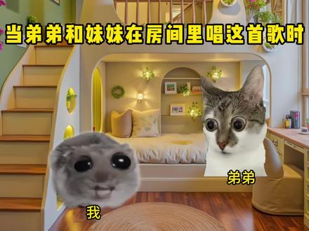 当我和弟弟在房间里唱这首歌时#猫meme #内容过于真实 #万万没想到 #抽象 #拼好歌