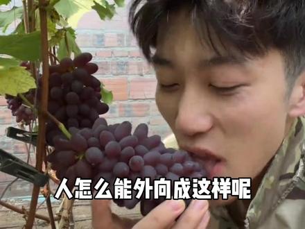 东北人的有趣灵魂是不是基因自带的啊 #锦州小帅 #东北人 #客服 #搞笑 #外向