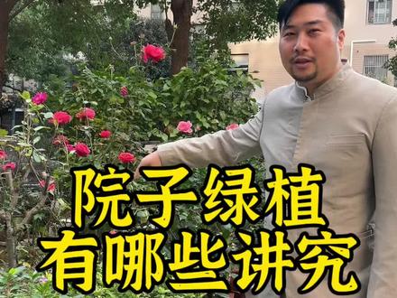 院子绿植有哪些讲究? #改造小院 #别墅景观 #庭院设计 #装修#院子
