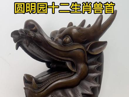 圆明园十二生肖兽首铜像,你知道分别在哪吗?#圆明园十二兽首 #铜摆件 #工艺品摆件 @抖音小助手