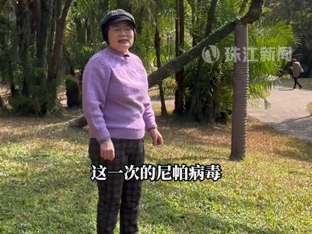 尼帕病毒的载体原来是它 不是椰枣 是海枣!