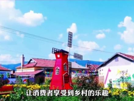 农村最缺什么生意?这4项才是赚钱的行业!#乡村振兴 #三农 #农村创业