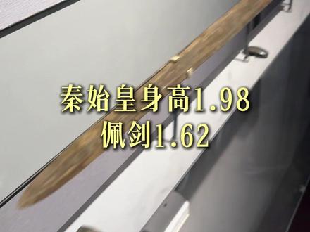 秦始皇身高1.98 佩剑1.62 #秦剑 #秦始皇 #一寸长一寸强 #武器 #知识前沿派对