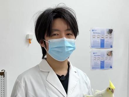 1个小道具!教你居家处理鹦鹉鸟喙受伤~
鹦鹉受伤怎么办,异宠医生处理小妙招来啦
不外传,记得收藏再看
#新手养鸟攻略 #受伤的小鸟 #鹦鹉鸟喙 #鹦鹉出血 #鹦鹉