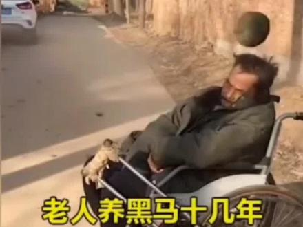 老人与马的故事感动了无数网友#万物皆有灵性