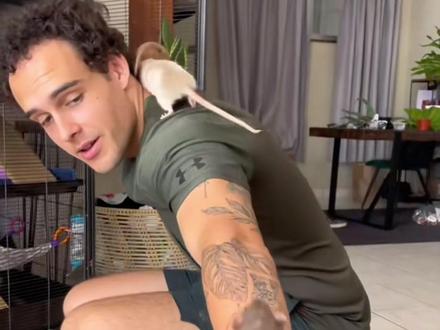 花枝鼠,才不是大灰耗子 #动物科普 #自然奇境科普季