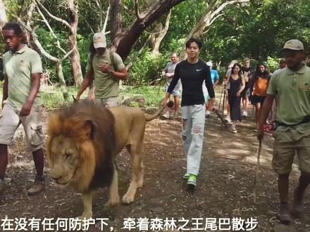 大冤种花10万在毛里求斯的旅行 #毛里求斯 #与狮同行 #追鲸 #风筝冲浪 #旅行推荐官