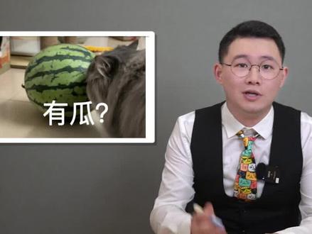 就这个语言组织能力才配上热搜吧!#城晚辣么说