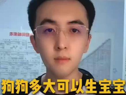 狗狗多大了可以生宝宝?#萌宠 #宠物 #看见每个你