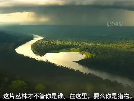 2026年新电影 水莽