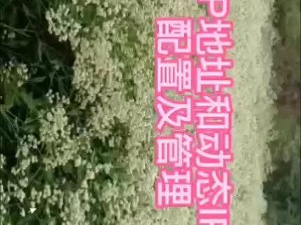 静态和动态IP地址的配置和管理#电脑知识 #电脑 #知识分享 #涨知识