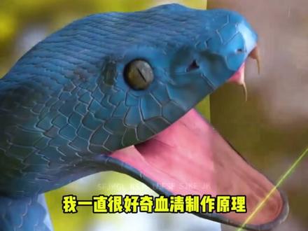 抗蛇毒血清的制作原理! #科普 #科普知识