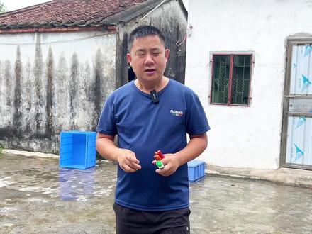 训犬师又出新招,结局啪啪打脸,不服约定下集再战!#我要上热门#狗老是乱捡东西吃怎么办#怎么训练狗不乱捡东西吃