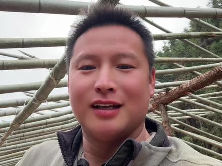 今年又要搭个新鸭棚 #罗城小卢 #万载土番鸭 #一朝相逢便是万载