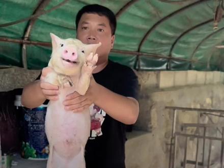 天哥去抓猪了🐷让纪周氏安排个明明白白笑劈叉了#姐夫小舅子 #日常vlog