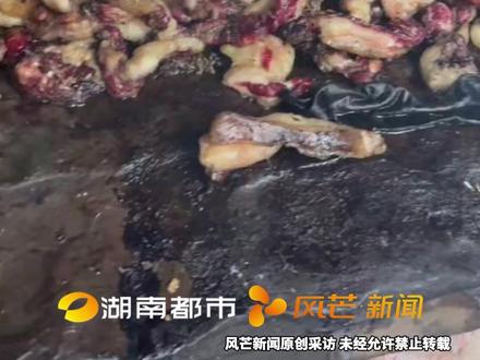 “张家界七星山”荒野求生挑战赛“荒野建哥兄弟”设陷阱捕获小猪 这顿硬菜够吃十多天 炼猪油囤粮把荒野过成了小康 网友:建弟的求生技能就是有个好哥哥#张家界七星山 #荒野求生 #荒野建哥