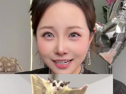 全程紧张害怕的一次开箱 #测评#拆箱 #蜜袋鼯 #宠物