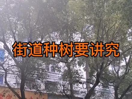 街道种树要讲究20210105