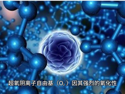 超氧阴离子对动物和植物的危害