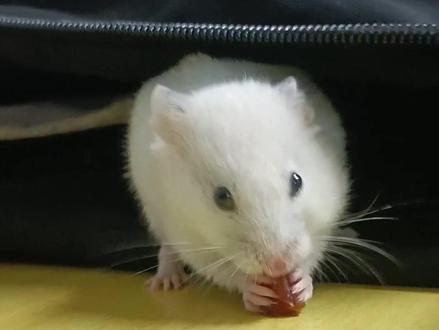 今日新闻联播7:00到7:30 4dee4ffce9e11b554fcaf3574a5fb6bf~tplv-dy-resize-origshort-autoq-75:330.jpeg?x-expires=2001182400&x-signature=KtxXF9thIyCmxdeTnhctFb1KFJk%3D&from=3213915784&s=PackSourceEnum_AWEME_DETAIL&se=false&sc=cover&biz_tag=pcweb_cover&l=202306040413283CA04B3A877B02A6E676