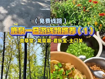 石家庄鹿泉一日游免费线路推荐(1) ⭐️食草堂艺术园区:距市区半小时车程,号称石家庄798,适合拍照打卡,有几个小店可以逛逛,不过有时候不开门,还有好几个摩托车店,喜欢的可以去看看!
🌟龙泉湖湿地公园:导航🧭最好到南门,离得近,停车方便。面积很大,秋天🍃没什么花了,适合纯溜达🚶健身,赏赏秋景也不错。有几个地方拍照📷挺出片的!现在有园林微景观参赛作品展,可以顺便看看。全程下来大概两个小时。
⭐️君乐宝优质牧场:石家庄老牌露营⛺️基地,草地面积大,环境好,停车方便!节假日🏠人多,建议错峰!还可以去里面奶牛🐄小镇看奶牛,看科普馆,看挤牛奶。都是免费的!
🌟土门关:前面三个地方玩下来肯定到晚上🌃了,如果还有力气,到土门关赏赏夜景,吃吃喝喝补充能量!
🚗前三个地方之间车程也就十分钟左右。土门关稍微远点,从君乐宝过去二十分钟。
🍚君乐宝露营⛺️野餐建议自带吃食,带够水💦哦!龙泉湖公园里有卖水和小吃的。但是有时候不开门,最好自带水。
🏠这几个地方离的都不远,可以自选组合选自己感兴趣的!节假日人多建议错峰出行哦!
这个十一假期和家人朋友一起去玩儿吧!
#这么近那么美周末到河北 #石家庄游玩推荐 #亲子游玩好去处 #十一 #旅行推荐官