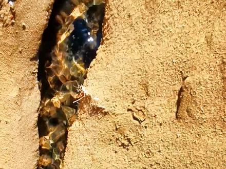 阿拉善微江应该是世界上最短、最窄的河了!全长只有30之微,但包容了水源地草原,黄沙峡谷,九曲几字弯,多级冲积滩,老龙潭,悬河,冲积扇等多重河流元素,实在是完美的微缩型江河模型,太珍惜了!!!#神奇的大自然 #旅行推荐官