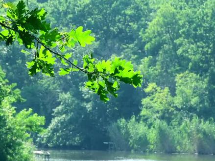 谁是连阴天数最多的股票,这里面有没有你的持仓? #股票 #财经