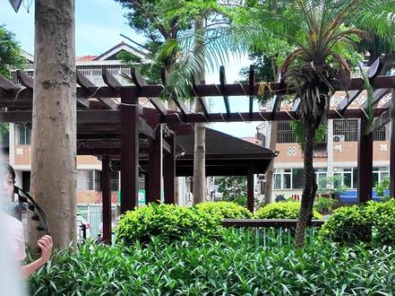 长毛的豆腐..你敢吃吗?#霉豆腐 #美食 #内容过于真实